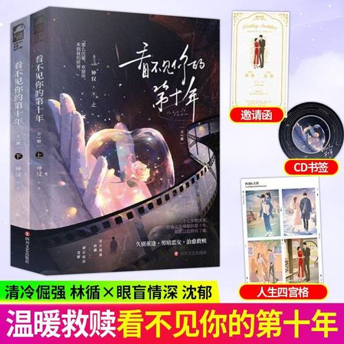 看不见你的第十年 钟仅著久别重逢都市治愈救赎文言情小说
