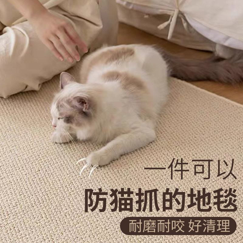 纯色极简仿剑麻地毯菠萝圈客厅沙发茶几毯高级感奶油风可擦地垫