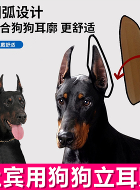 杜宾专用小狗立耳神器狗狗立耳贴耳朵立耳器支架辅助耳朵固定胶水