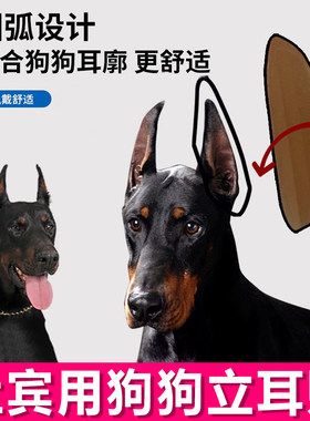 杜宾专用小狗立耳神器狗狗立耳贴耳朵立耳器支架辅助耳朵固定胶水