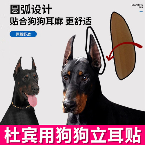 杜宾专用小狗立耳神器狗狗立耳贴耳朵立耳器支架辅助耳朵固定胶水