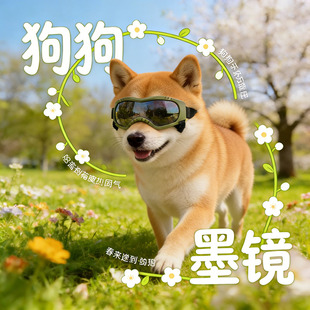 狗狗墨镜柴犬专用眼镜防风镜宠物小狗护目镜外出用品防风沙兜风