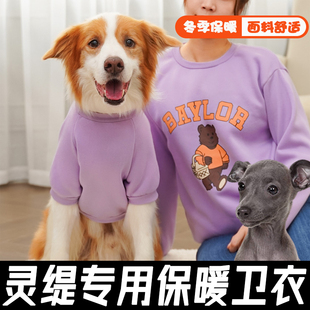 灵缇专用大狗衣服宠物卫衣中型犬狗狗加厚保暖秋冬衣服