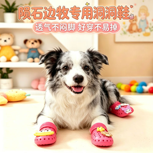 陨石边牧专用幼犬狗狗凉鞋小狗鞋子夏透气宠物狗鞋夏季洞洞鞋夏天