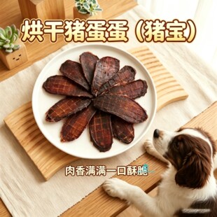 史宾格专用狗狗小零食猪蛋蛋磨牙棒小狗猪宝片狗磨牙冻干补充营养