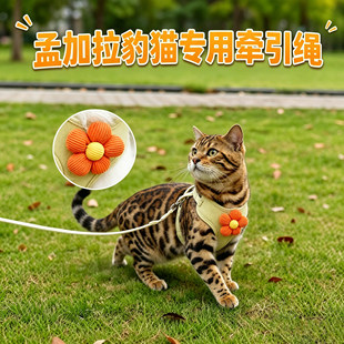 孟加拉豹猫专用小猫牵引绳猫咪宠物幼猫防挣脱外出背带牵猫的绳子