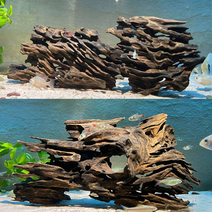 虾木鱼缸造景天然龙骨木鱼虾繁殖躲避多孔蜂窝沉木摆件镂空观赏窝