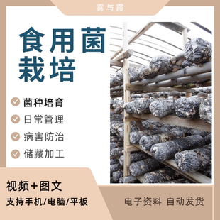 食用菌种植技术视频教程生料室内菌种培育培训蘑菇栽培病害高产