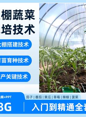 大棚蔬菜种植技术反季节番茄子辣椒黄瓜草莓栽培视频教程PPT课件