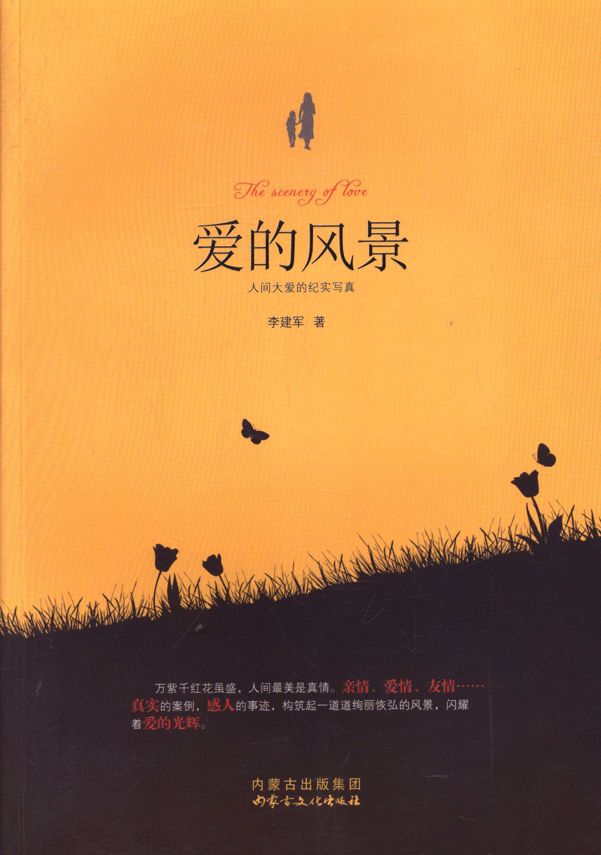 爱的风景:人间大爱的纪实写真9787552104738内蒙古文化