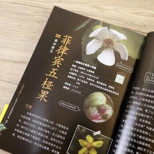 （正版）东南亚水果猎人水果食疗营养速查全图鉴水果史话不乖书生与水果的热恋之旅初识 杨晓洋著东南亚水果科普百科品种分类书籍