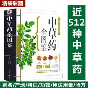 （正版）中草药全图鉴千金方 汤头歌决 彩色图解版中药材识别入门中国中医医学自学书籍中草药大全常用中药养生功效药方健康类方剂