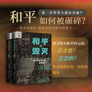 毁灭 戴维·史蒂文森 次世界大战及其遗产 英 Dav 全2册 和平