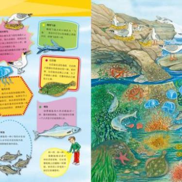 （正版）小手电大探秘 授权 海洋世界 手电筒系列视觉大发现密林探险野兽王国百科全书3-6-12岁儿童科普百科图书籍小学生课外阅读