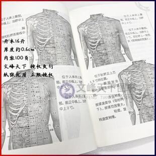 （正版）移筋整骨术 点按穴位按摩推拿疗法摸骨正骨活血化瘀人体经络穴位 跌打损伤缓解治疗 驱寒排毒 中医养生保健书籍