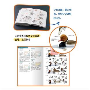 (正版)中国鸟类观察手册 中国鸟类行为动物科普图鉴 珍惜森林草原野鸟形态图鉴野生动物百科中国国家地理书籍现货