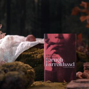 (正版)明室包邮 让我们相信这寒冷季节的黎明 豆瓣2023年度诗歌 女性主义波斯诗歌 芙洛格·法罗赫扎德著 备受赞赏诗人 外国文学