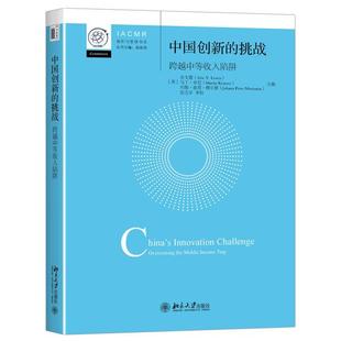 挑战 Y.Lewin 美 Arie 等9787301271148北 乐文睿 中国创新