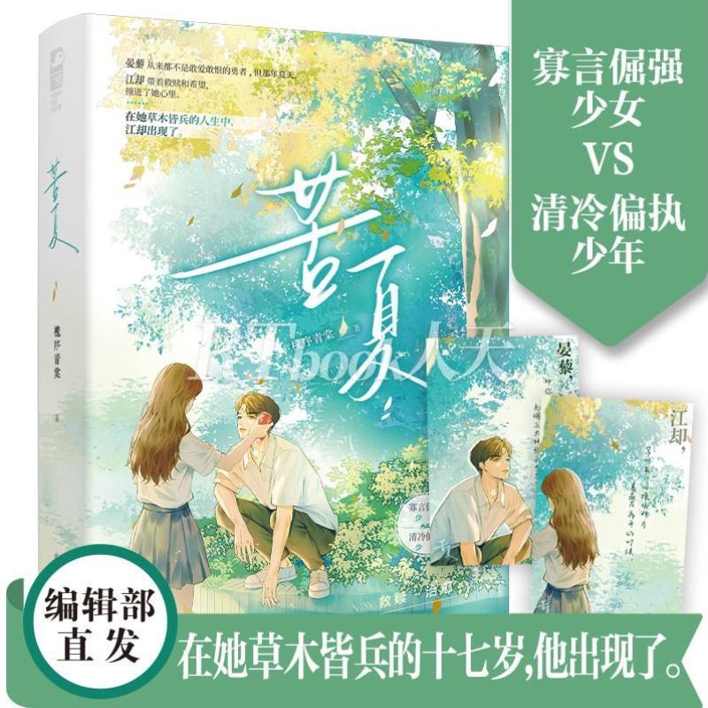 （正版）苦夏 槐序青棠著 青春校园救赎久别重逢破镜重圆言情小说实体书籍 寡言倔强少女清冷偏执少年