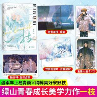 正版 新书 一枝小说1 青春文学言情男主小说 畅想畅销书 2完结篇绿山高口碑美学代表作青春热门畅销小说书籍入戏遇蛇灰塔笔记