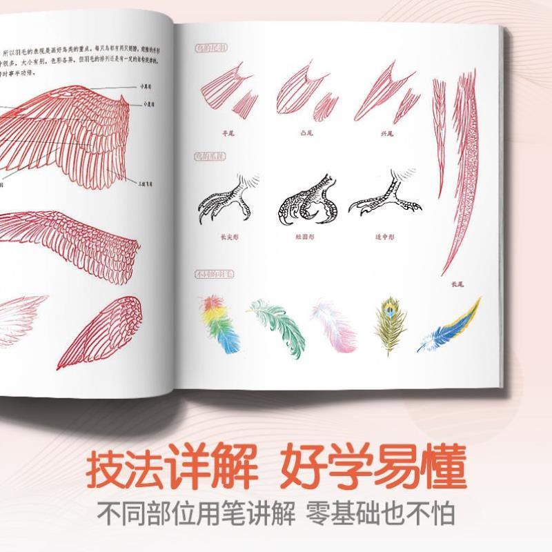 （正版）彩铅花鸟 彩色铅笔画画书零基础入门教程教材美术绘画超写实手绘技法绘画动物植物本漫画素描画册临摹范本花之绘教学成人