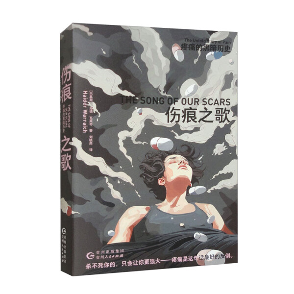 伤痕之歌 疼痛的黑暗历史[巴基斯坦]海德·瓦莱奇9787221177964贵