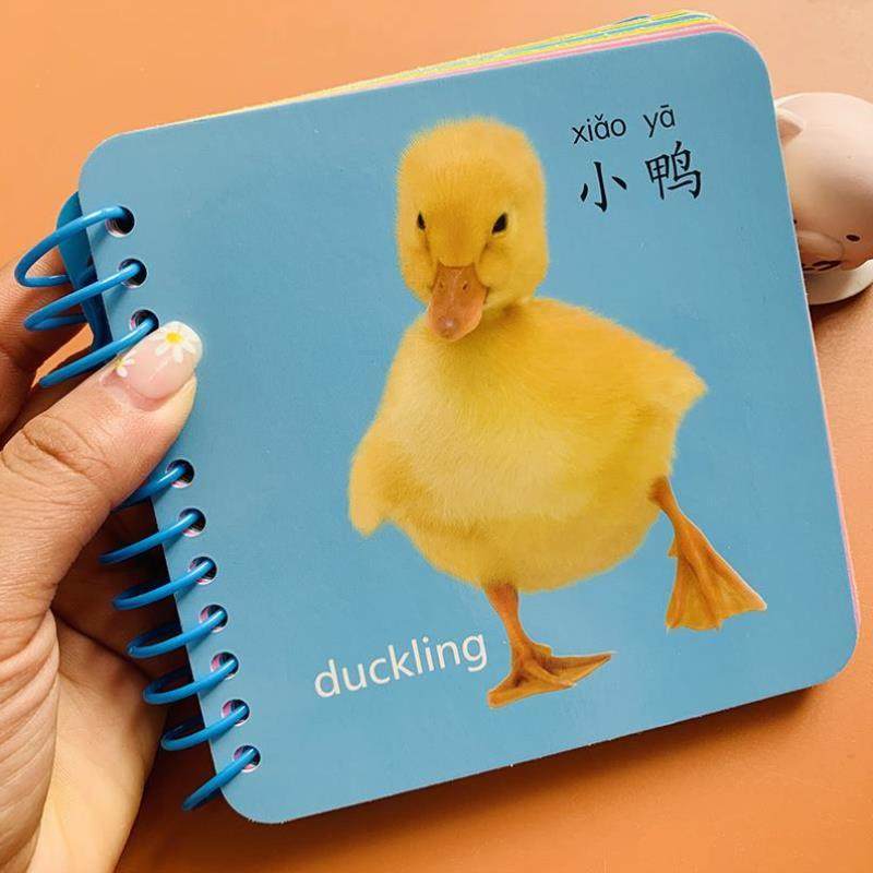 （正版）1-2-3岁宝宝早教卡片加厚撕不烂认识动物水果蔬菜认知卡片全套4本幼儿防水防撕动物世界卡一二三岁儿童益智实物拍摄图片婴