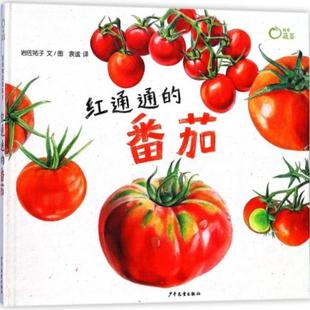 （正版）红通通的番茄 麦田精选图画书 绘本 3-6周岁植物蔬菜科普绘 描述番茄的成长绘本图画故事书籍 岩佐祐子 幼儿认知