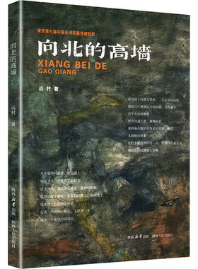 向北的高墙远村9787224127843陕西人民图书