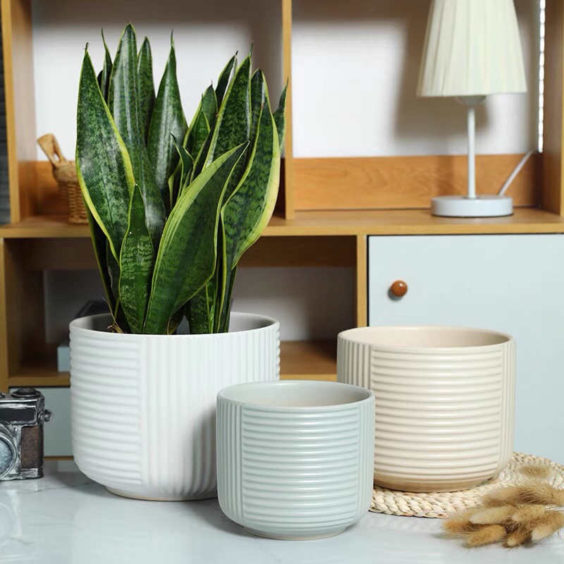 透气哑光兰花盆简约特价