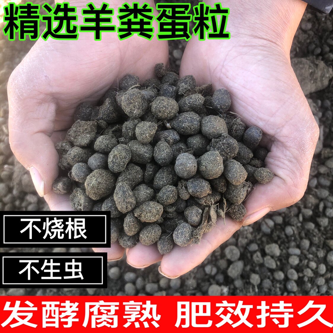 羊粪发酵有机肥干羊粪蛋粒兰花蔬菜铁皮石斛专用肥料羊屎蛋