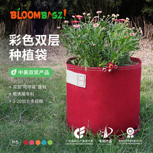 bloombagz美式 盆栽花卉绿植兰花多肉专用创意特大花盆 加仑种植袋