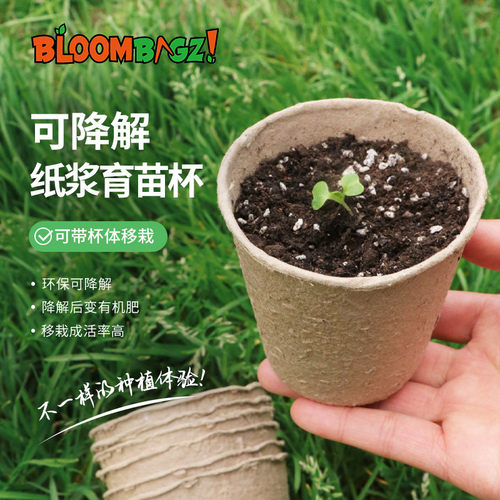 可降解一次育苗杯纸浆营养杯