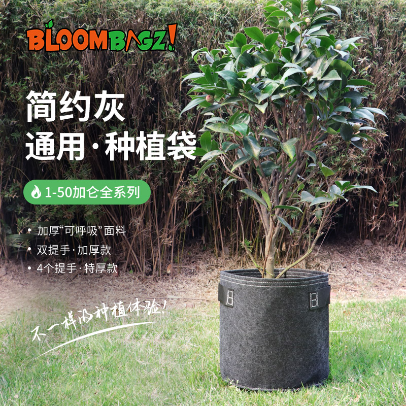 bloombagz简约灰植物生长袋 阳台庭院绿萝果树盆栽花卉加仑大花盆 鲜花速递/花卉仿真/绿植园艺 花盆 原图主图