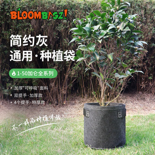 bloombagz简约灰植物生长袋 阳台庭院绿萝果树盆栽花卉加仑大花盆