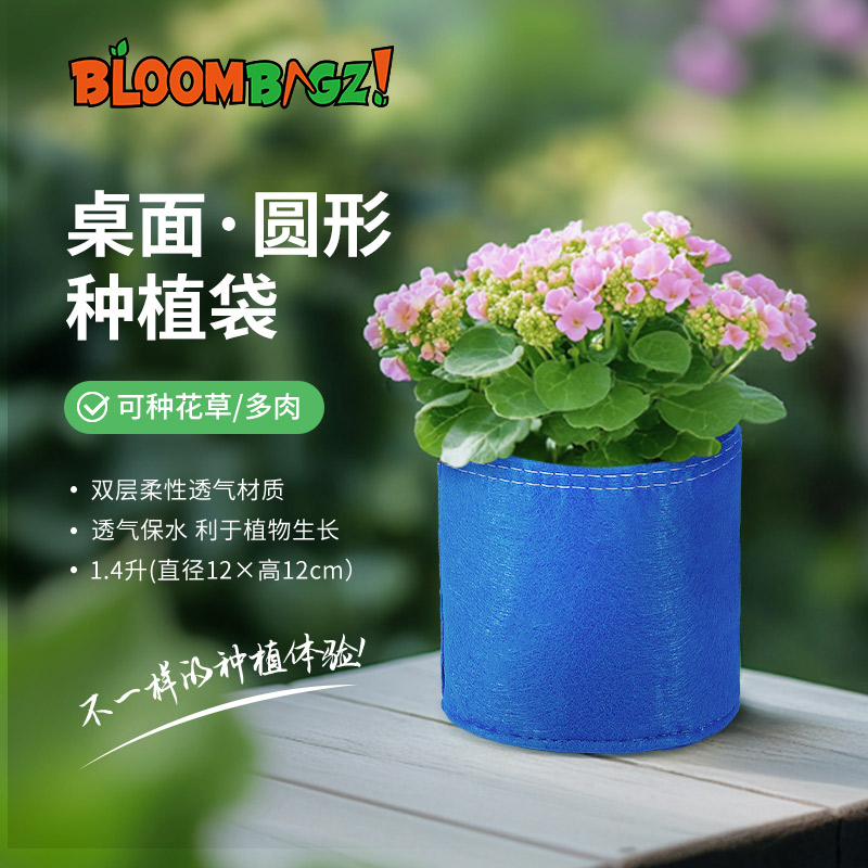 多肉花盆毛毡幼儿园盆栽40-5