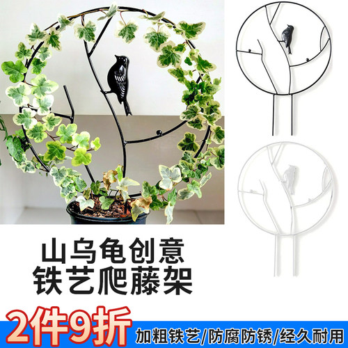 铁艺造型爬藤攀爬架雪莹阳台庭院