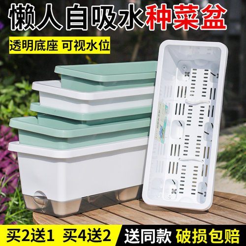 自动吸水可视水位透气懒人种菜盆