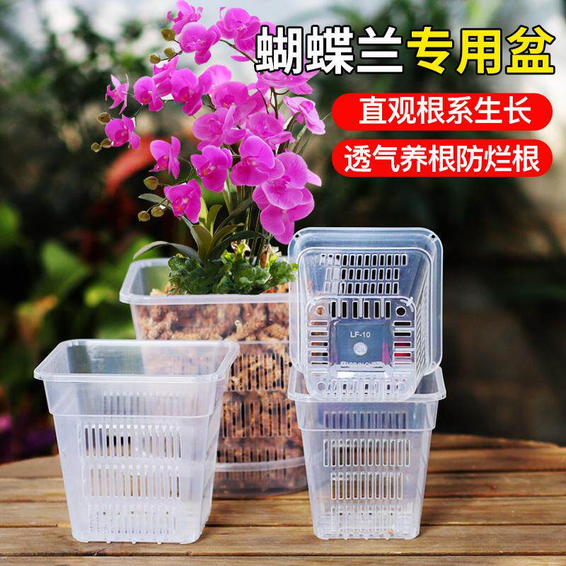 新款水苔蝴蝶兰专用花盆透气防烂根控根盆透明青山盆兰花花盆家用