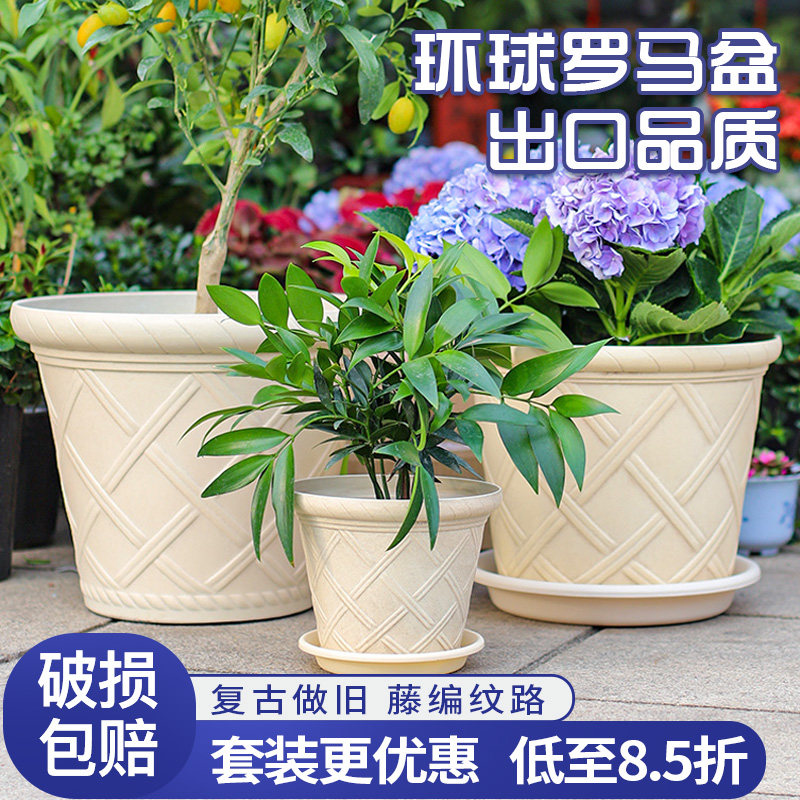 环球仿古罗马花纹树脂矮牵牛塑料