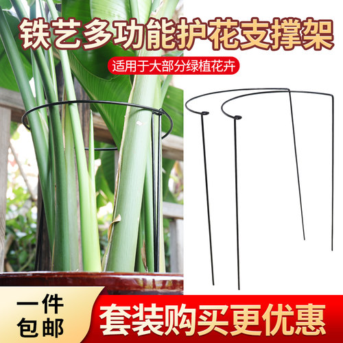 园艺护花多功能支架铁艺天堂鸟