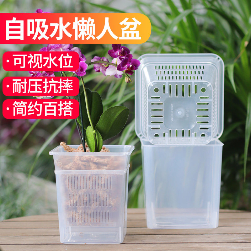 蝴蝶兰透明花盆兰花控根盆家用塑料透气镂空石斛水培花盆水苔套盆,鲜花速递/花卉仿真/绿植园艺,花盆,淘宝优惠券,粉丝福利购,淘宝优惠卷