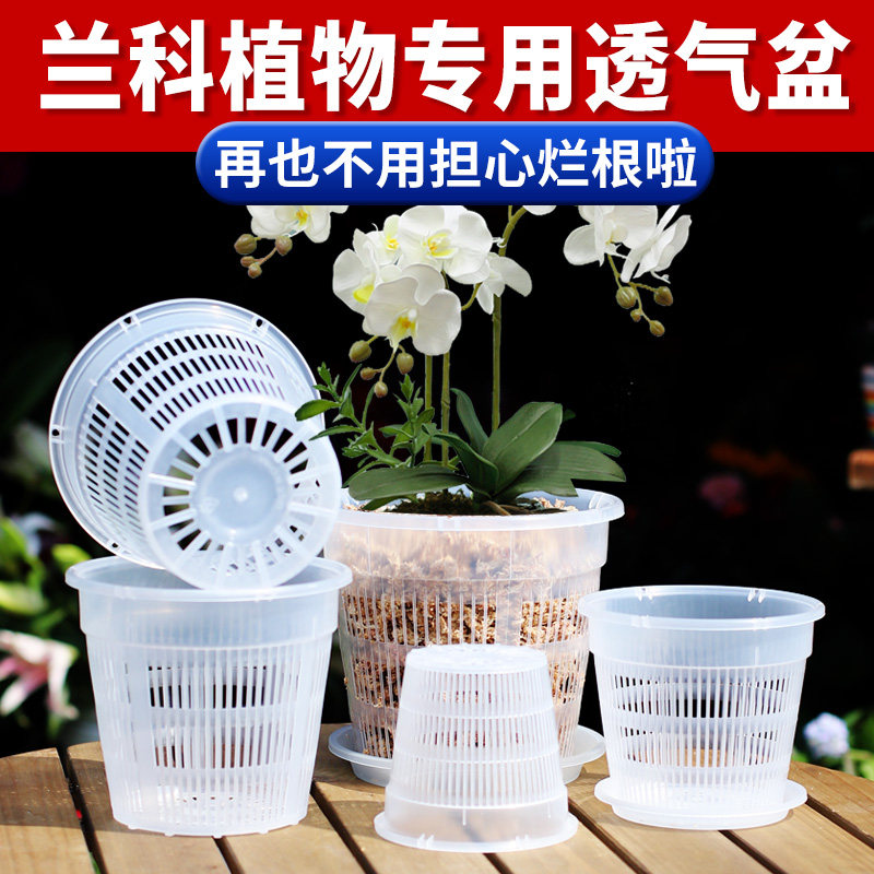 多尺寸可选透气不烂根养根控根图片