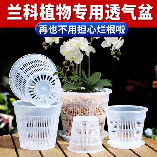 多尺寸可选透气不烂根养根控根