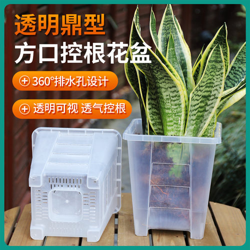 透明可视直观根系生长控根透气