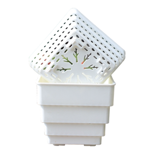 控根多肉组合花盆长条形塑料透气控根专用小号方盆和营养土带托盘