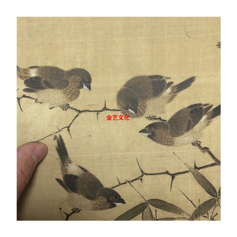 宋小品 花鸟国画合集 35张高清斗方画微喷复制装饰画临摹学习画稿