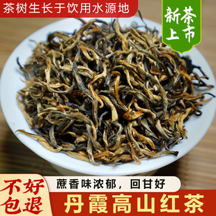 丹霞红山白毛红茶特级浓香型高山蔗香春茶醇厚暖胃养胃正品茶叶
