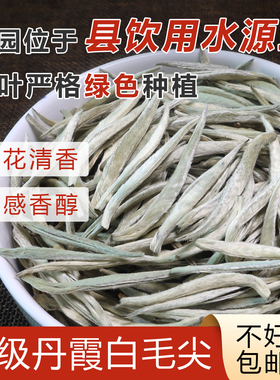 【头春兰花香】仁化红山白毛茶特级明前茶芽尖韶关清明茶特级嫩芽