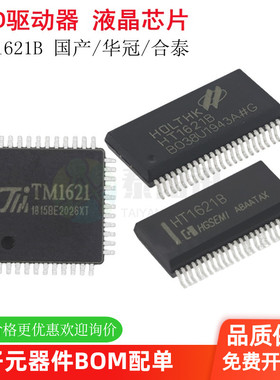 HT1621B 贴片SSOP-48 RAM映射 LCD驱动器 液晶芯片 TM1621 LQFP44